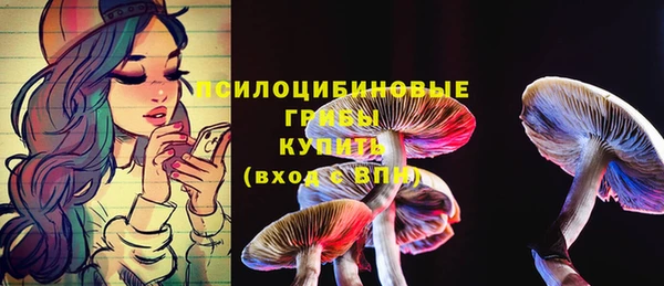 тгк Михайловка