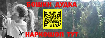 стафф Лесосибирск