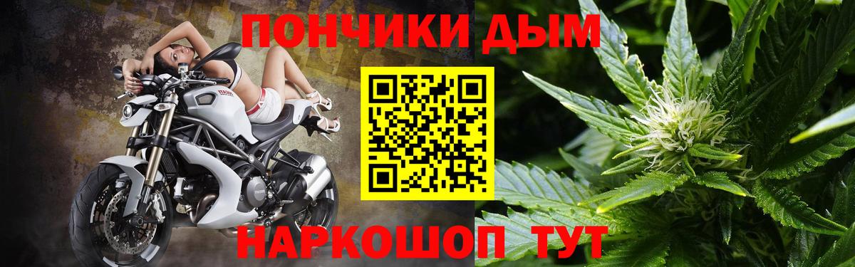 Юрга  Конопля Bruce Banner  МАРИХУАНА сатива  Вход с VPN 